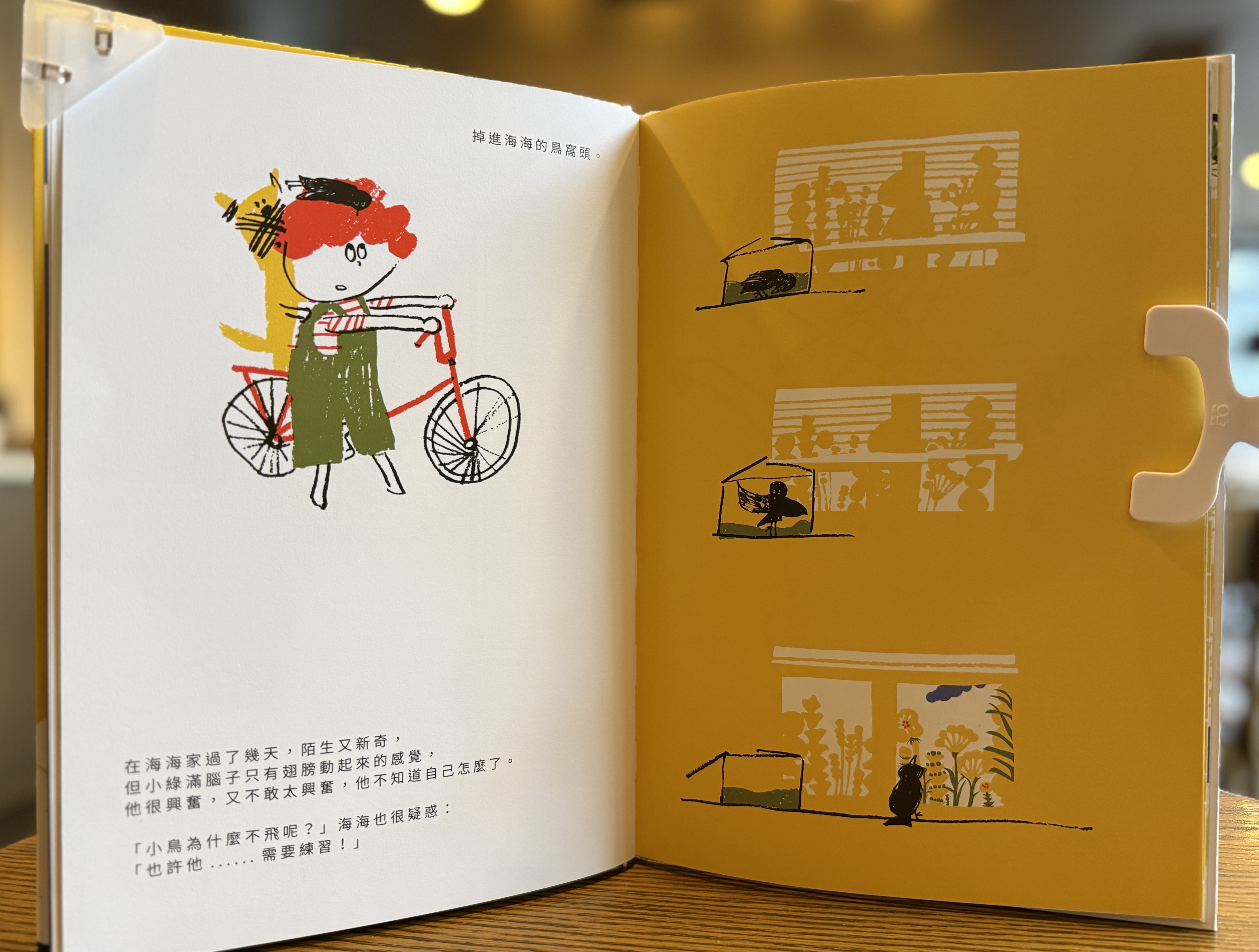 《在鳥籠出生的小綠和他的朋友們》｜當飛翔被視為一種病 正文圖片第 3 張