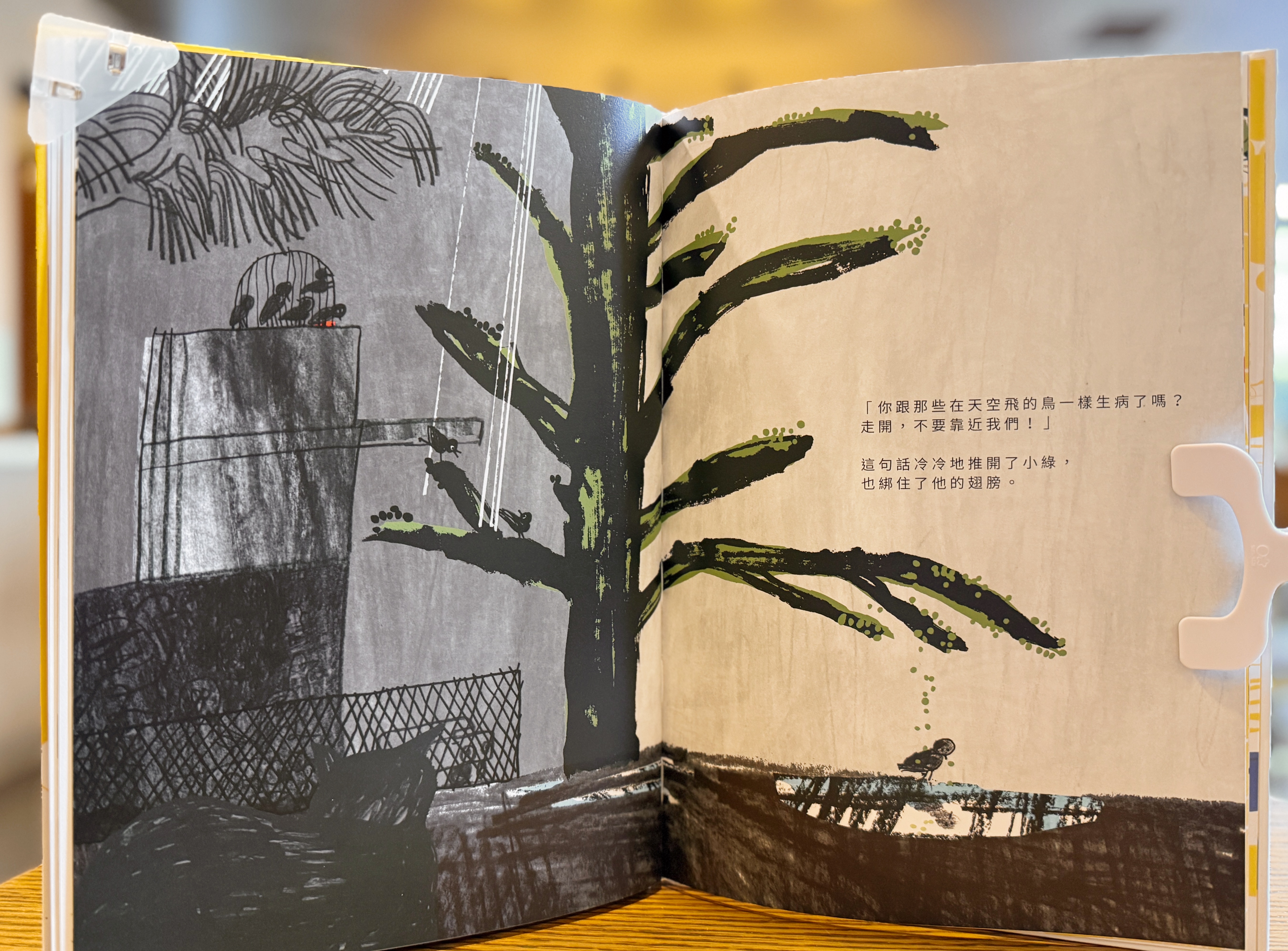 《在鳥籠出生的小綠和他的朋友們》｜當飛翔被視為一種病 正文圖片第 5 張