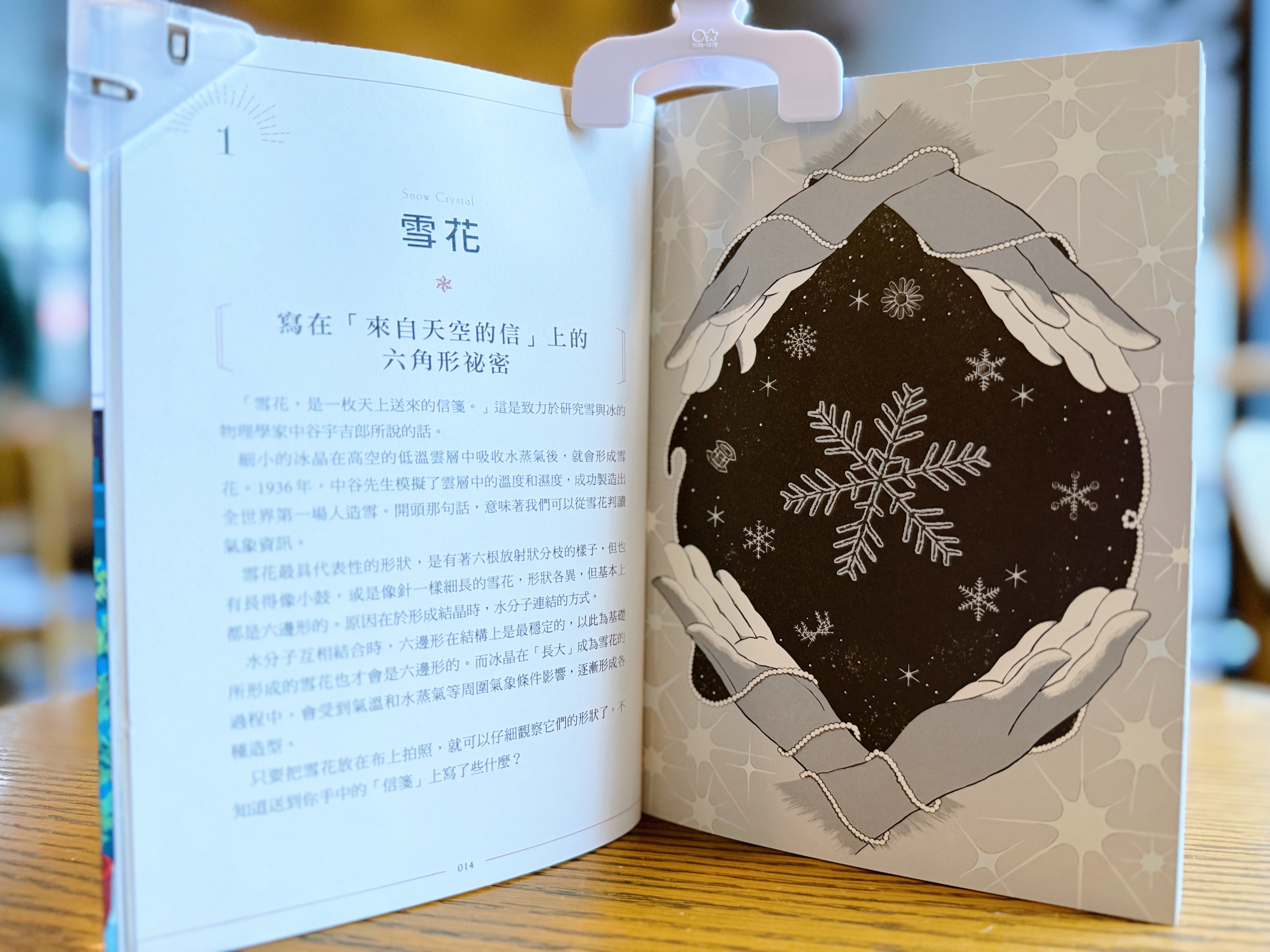 《知識之海的閃亮圖鑑》|讓我眼睛發亮的科普書 正文圖片第 2 張