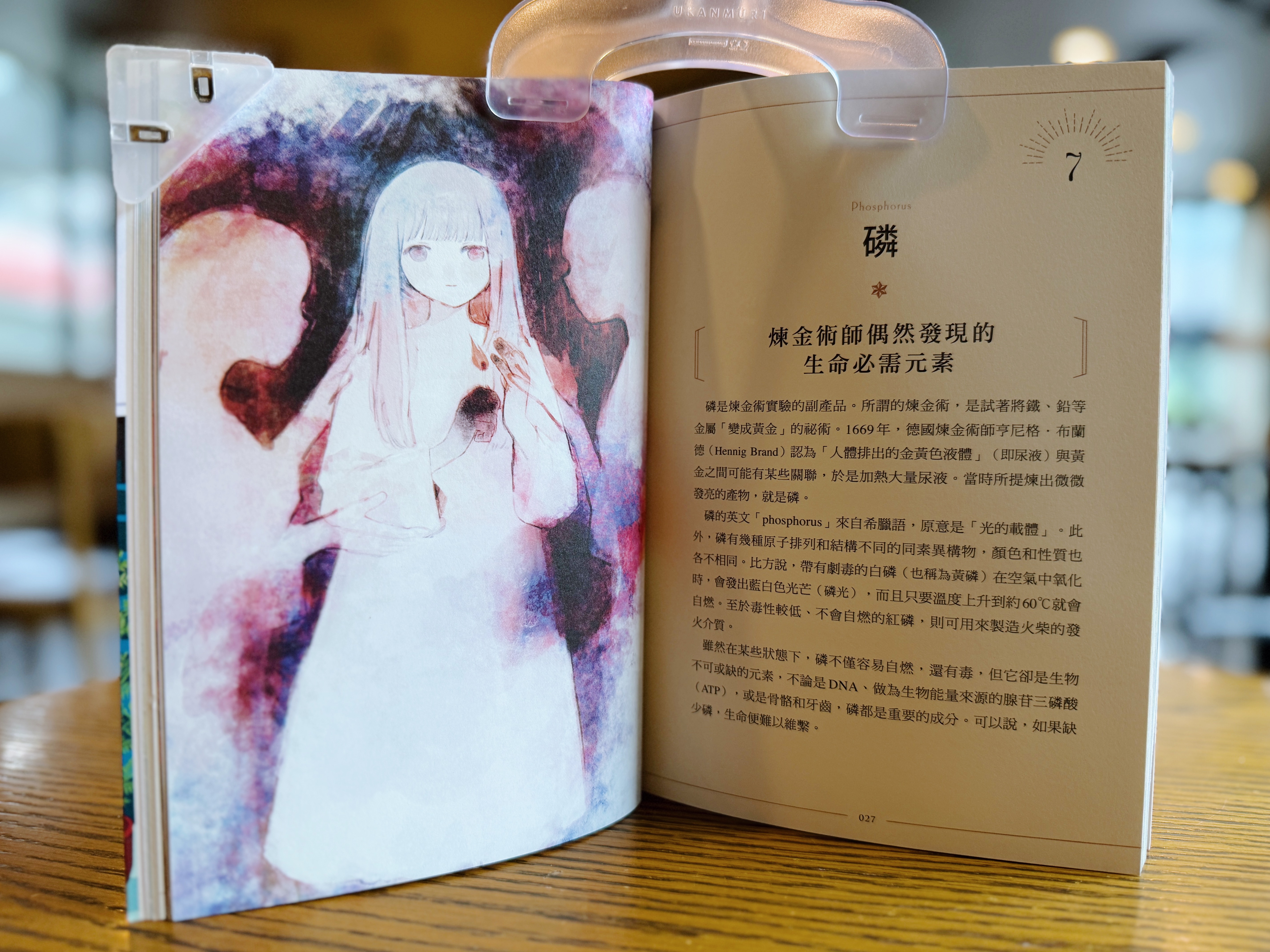 《知識之海的閃亮圖鑑》|讓我眼睛發亮的科普書 正文圖片第 4 張