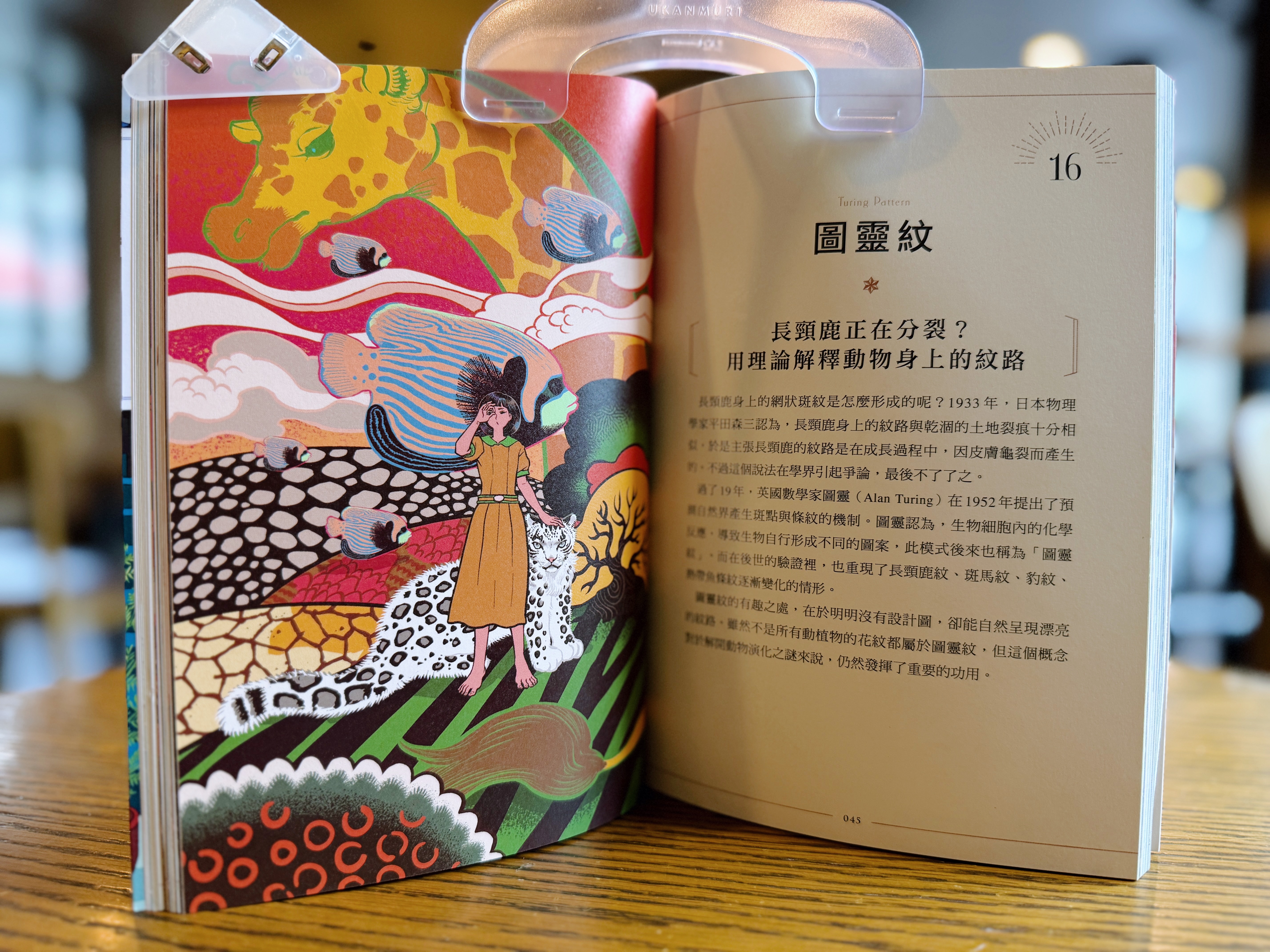 《知識之海的閃亮圖鑑》|讓我眼睛發亮的科普書 正文圖片第 5 張