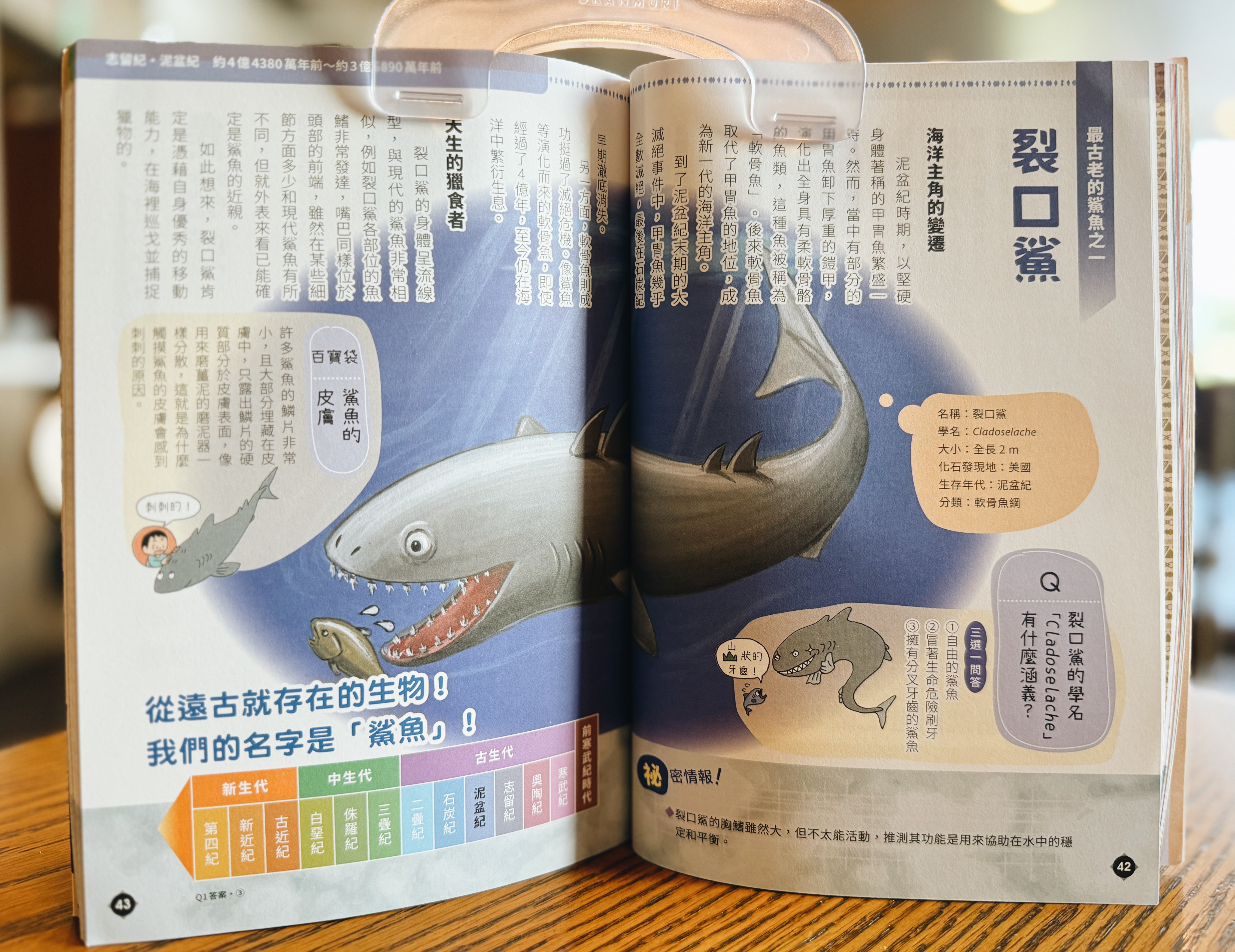 《滅絕生物研究所》｜讓化石說給你聽 正文圖片第 3 張