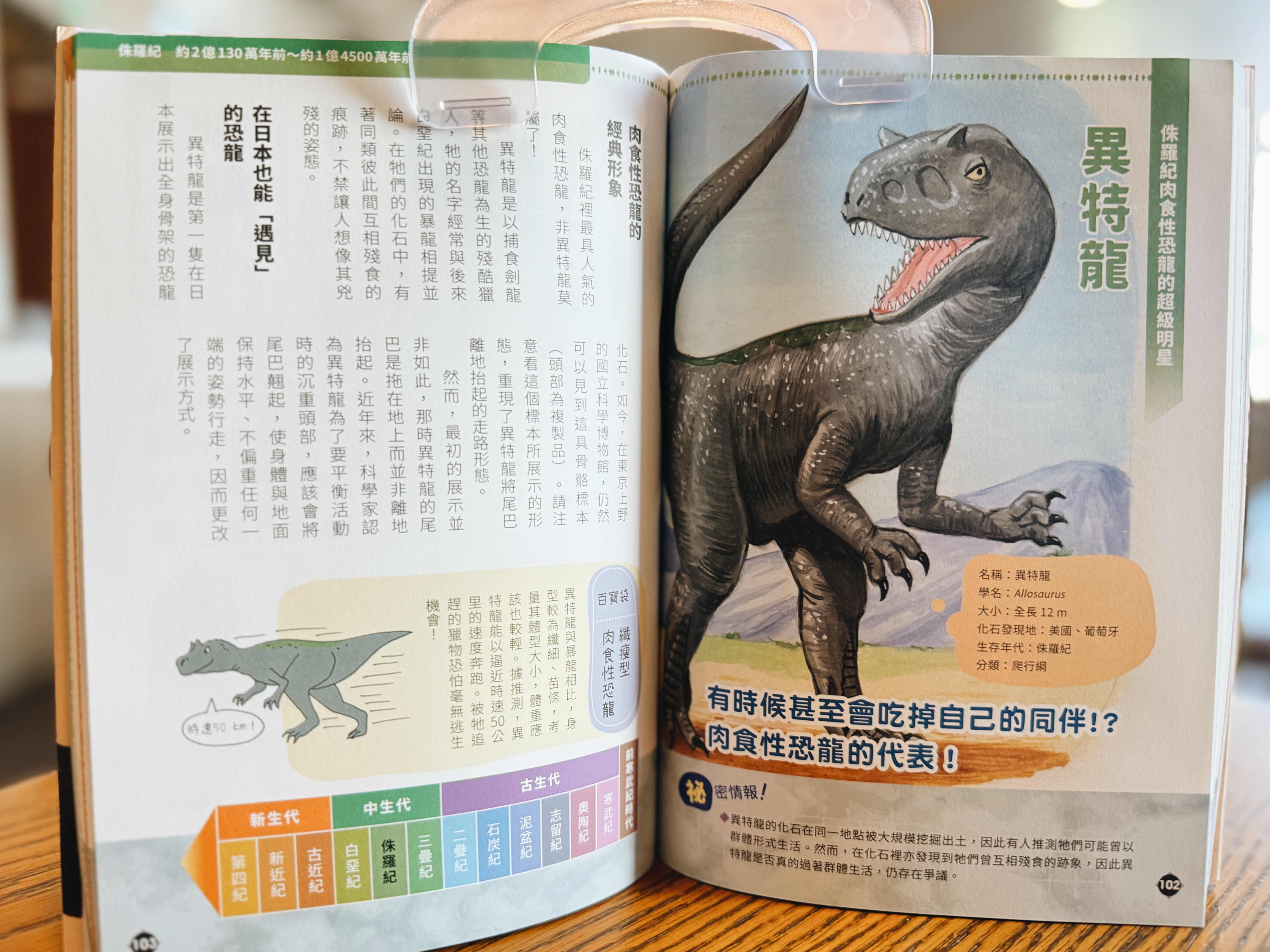 《滅絕生物研究所》｜讓化石說給你聽 正文圖片第 6 張
