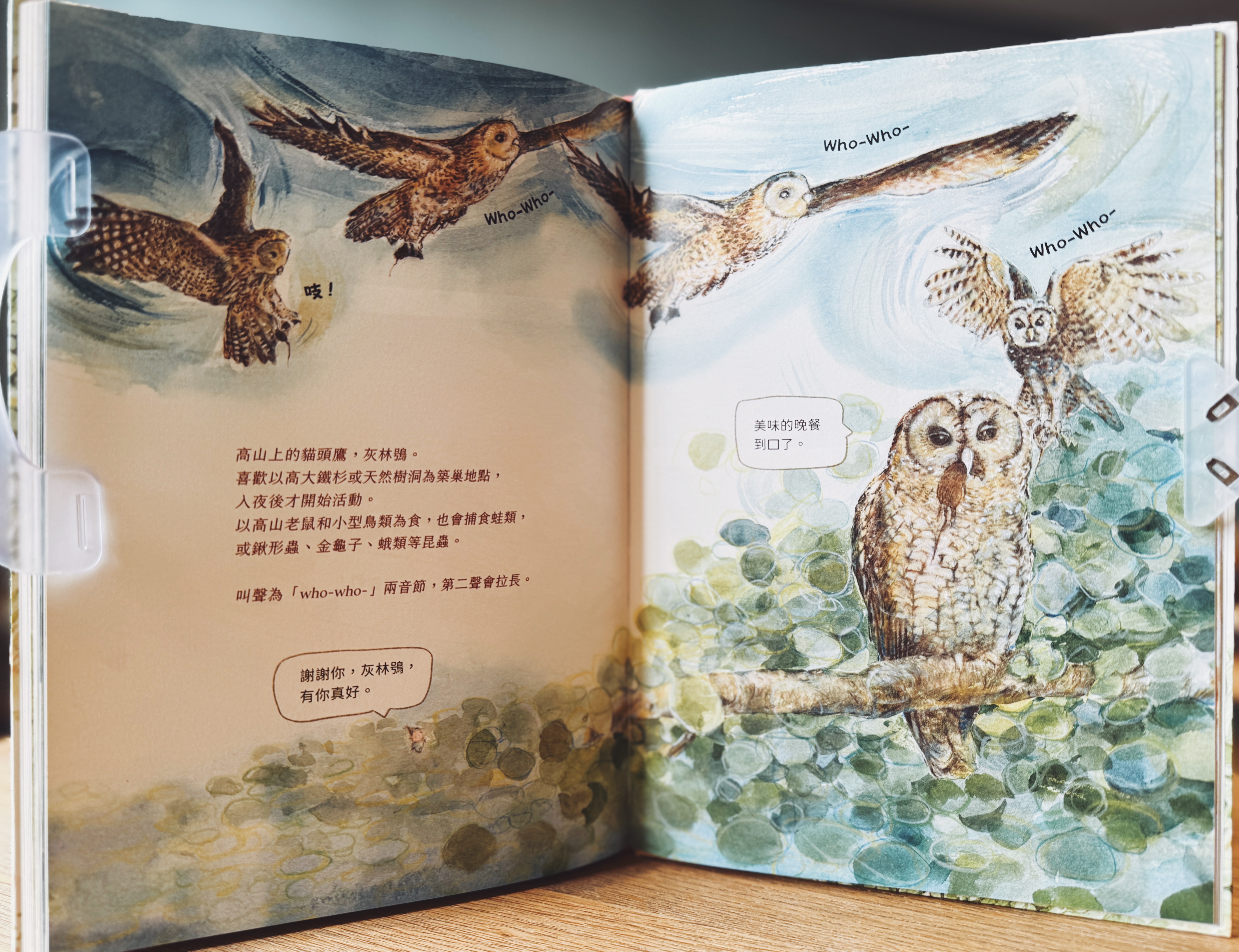 《撞到月亮的樹》上下冊|小毬果出發了 正文圖片第 6 張