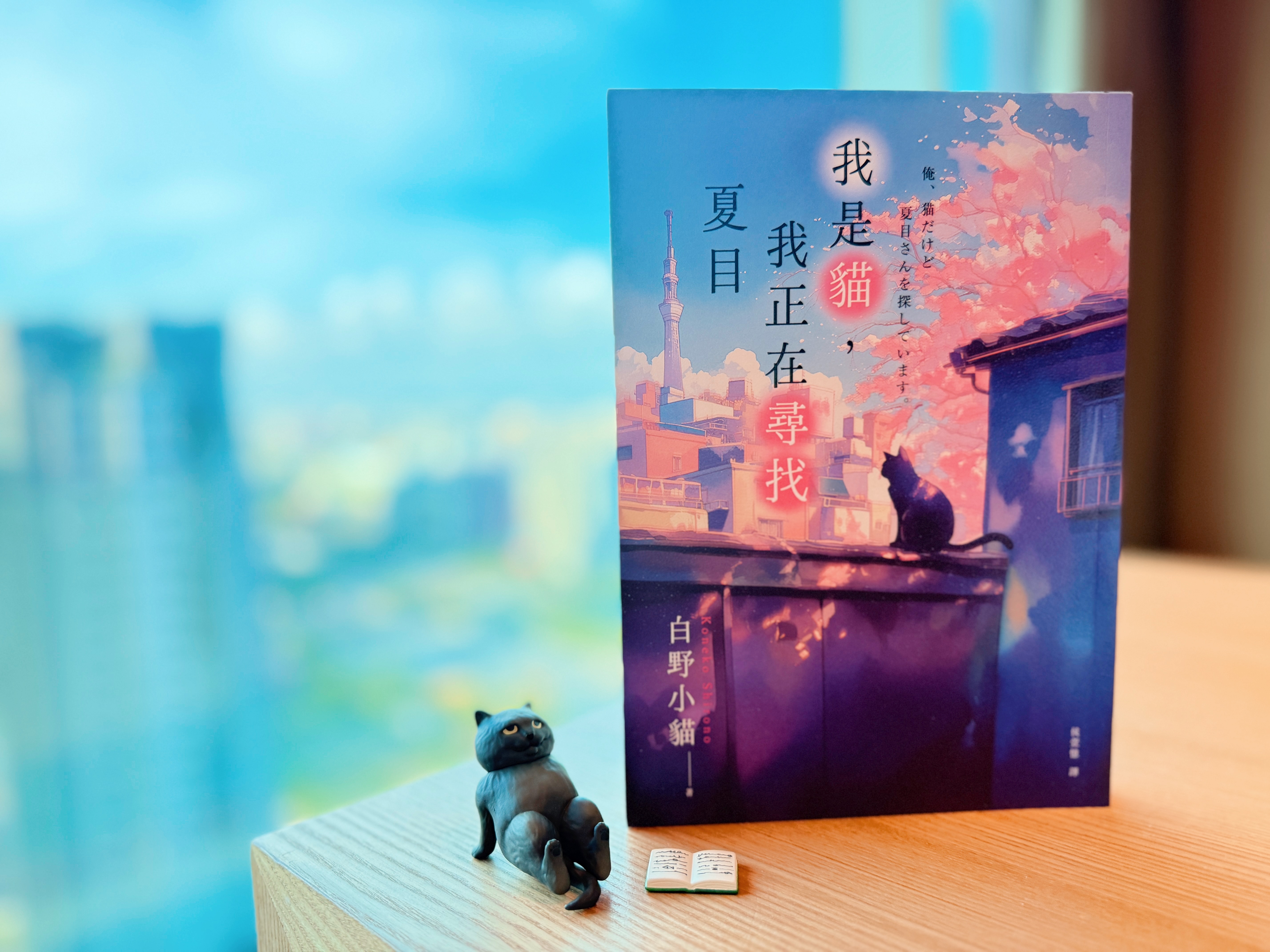 《我是貓，我正在尋找夏目》｜本貓在找你 書封