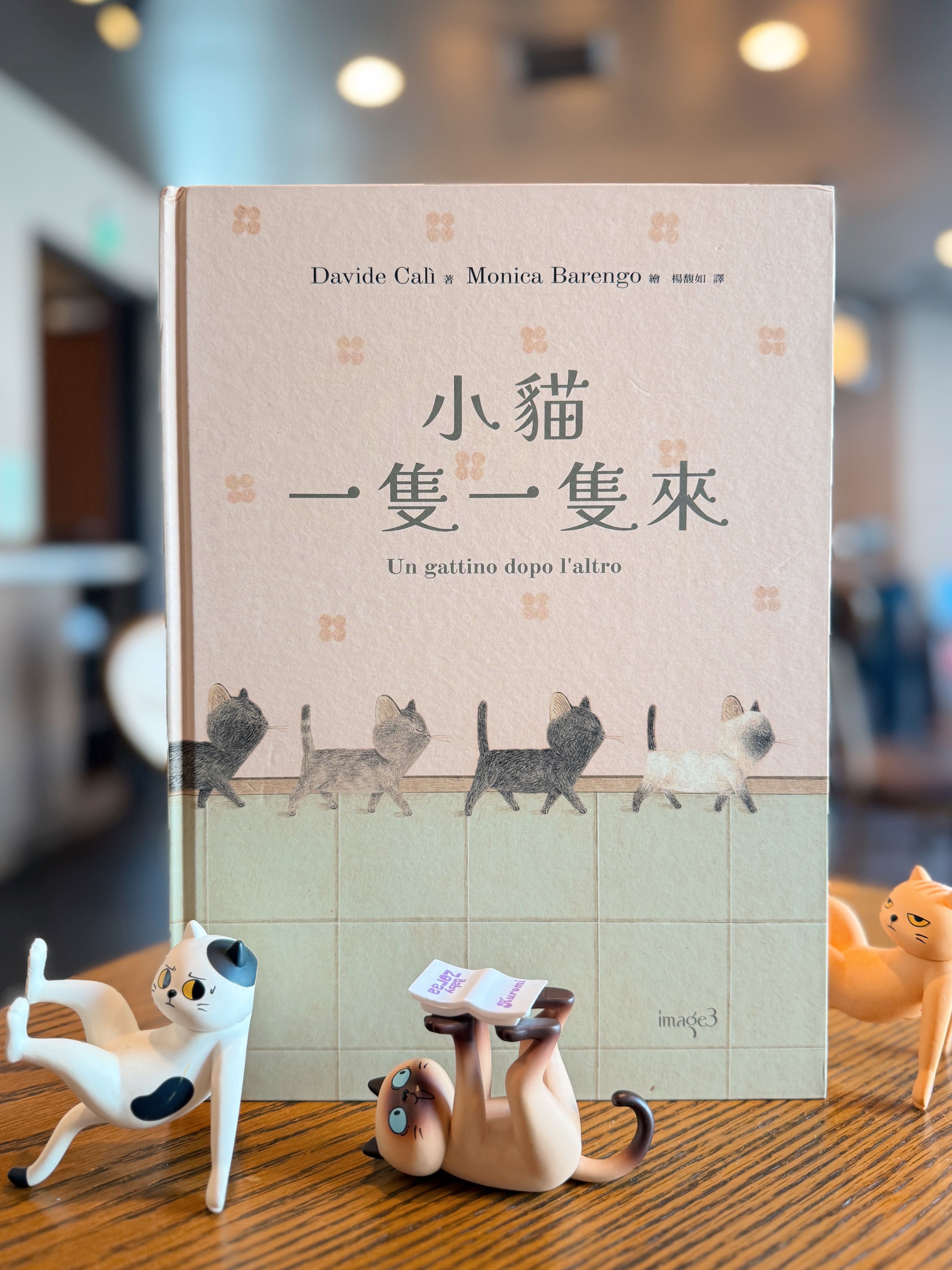 《小貓一隻一隻來》｜家被貓偷偷加了一點糖 書封