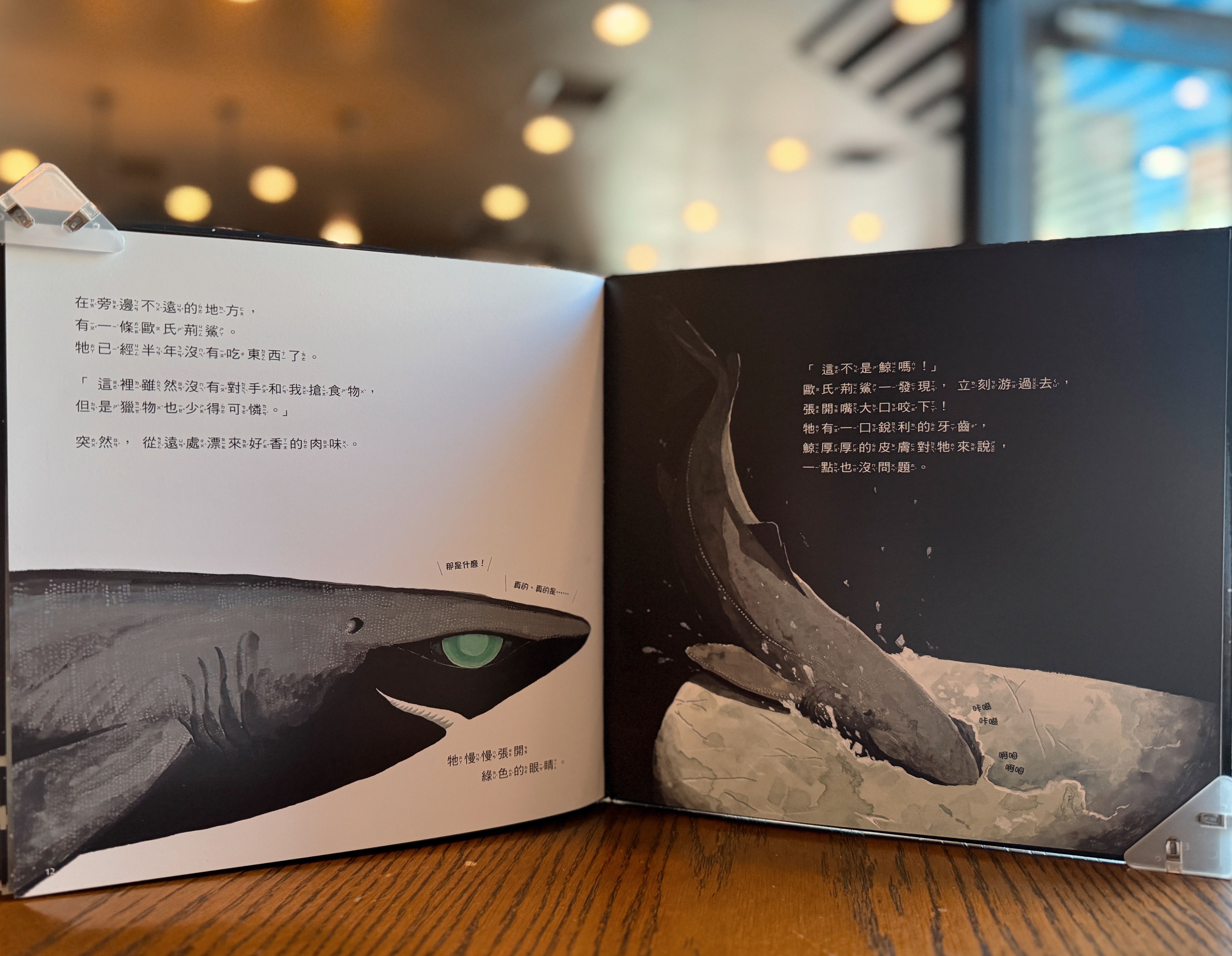 《一頭鯨死了以後：鯨落》｜鯨落的靜謐與永恆 正文圖片第 4 張