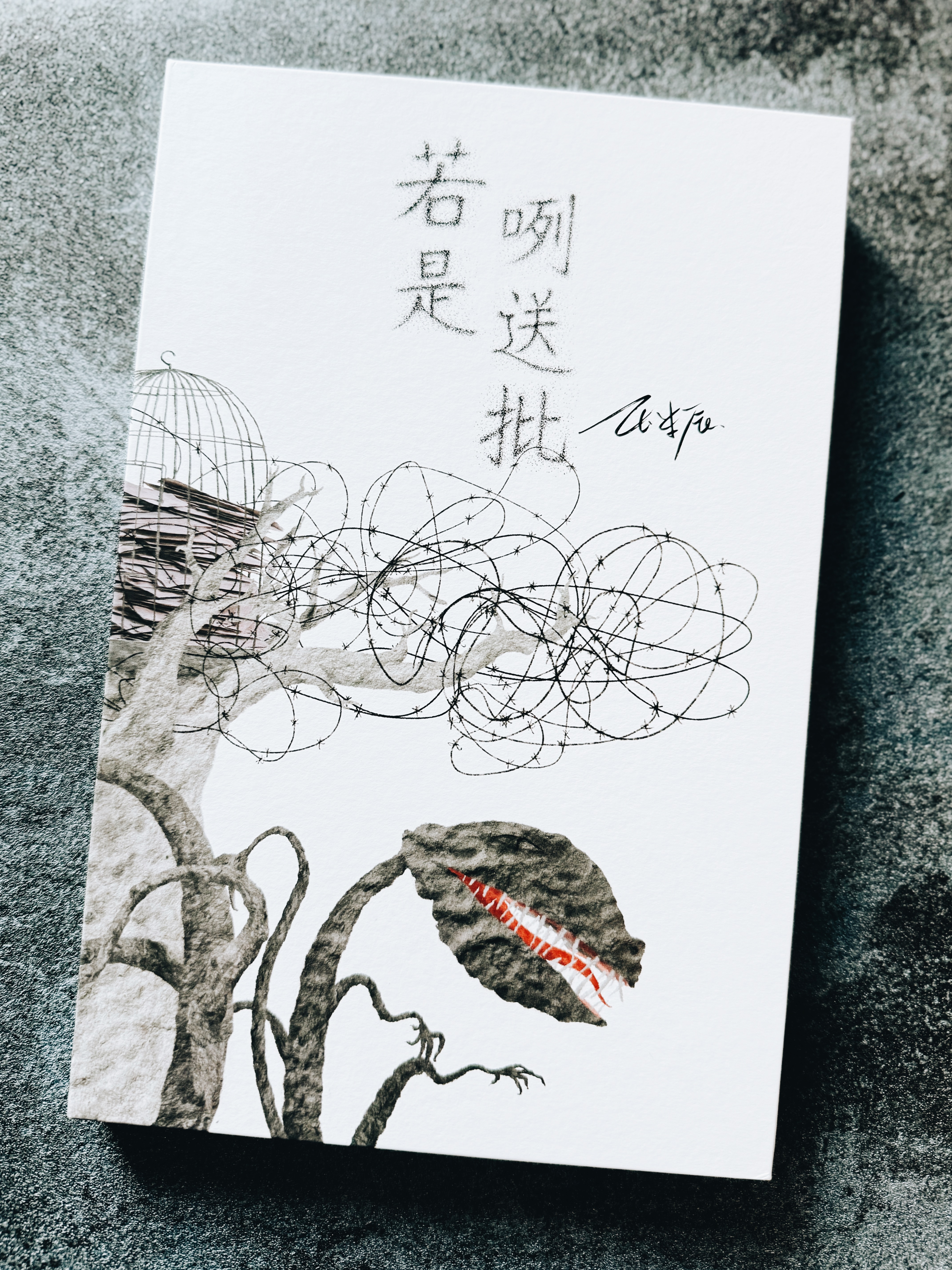 《若是咧送批》｜寄往歷史，交付未來 書封