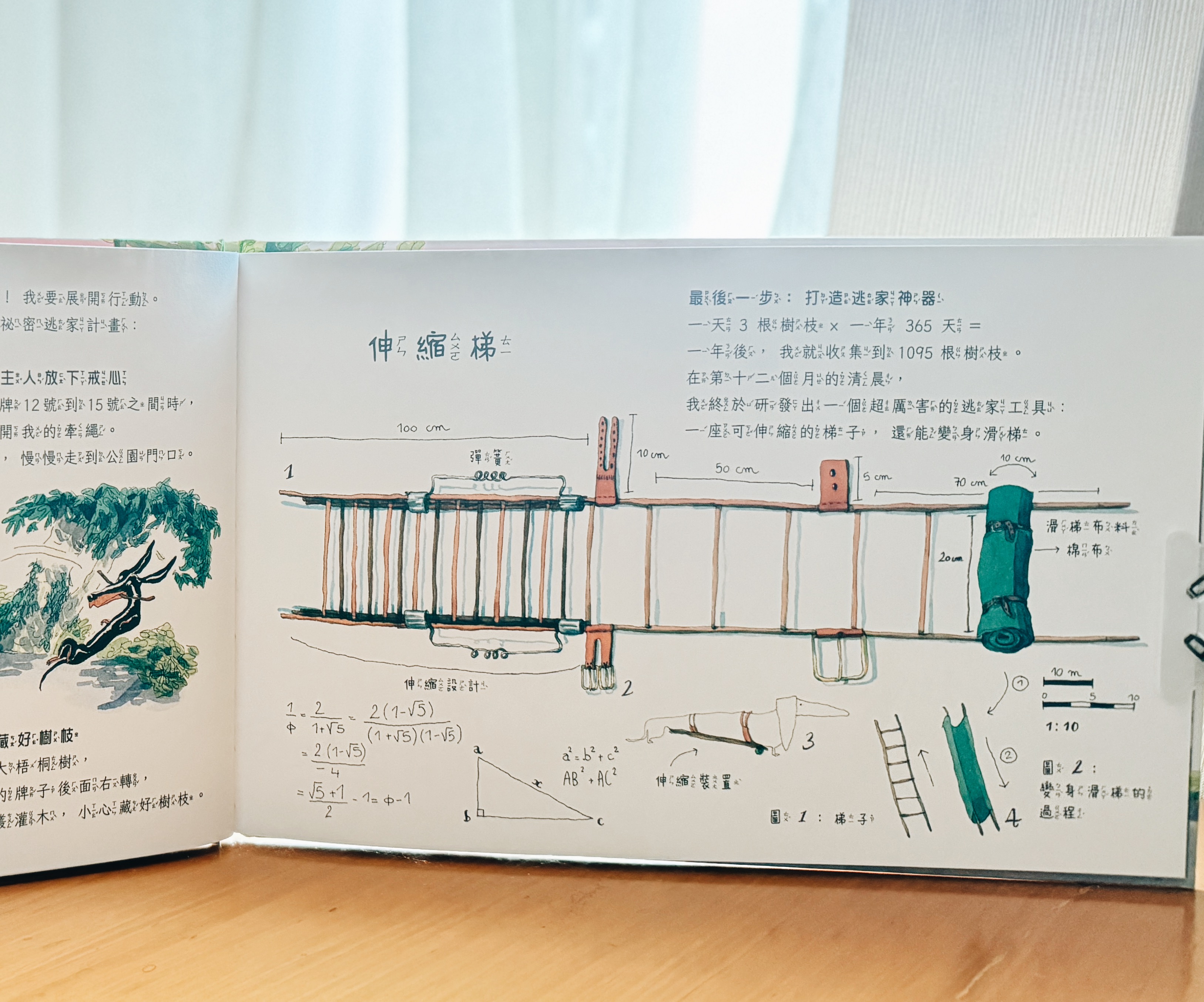 《亮亮的祕密夢想》｜每個被忽略的存在，都在等一盞光 正文圖片第 6 張