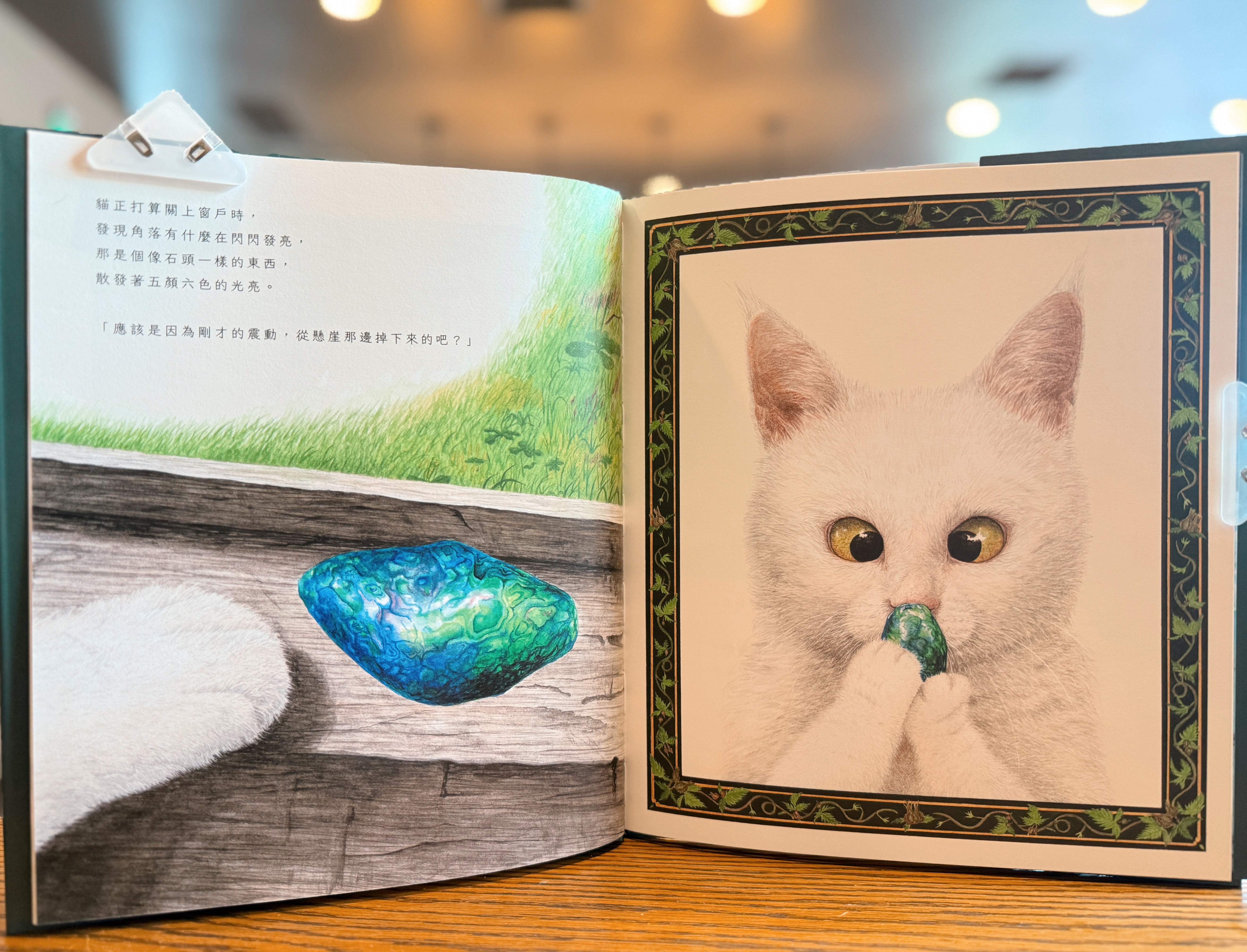 《綠崖上的老房子》|當孤單被世界回望 正文圖片第 2 張
