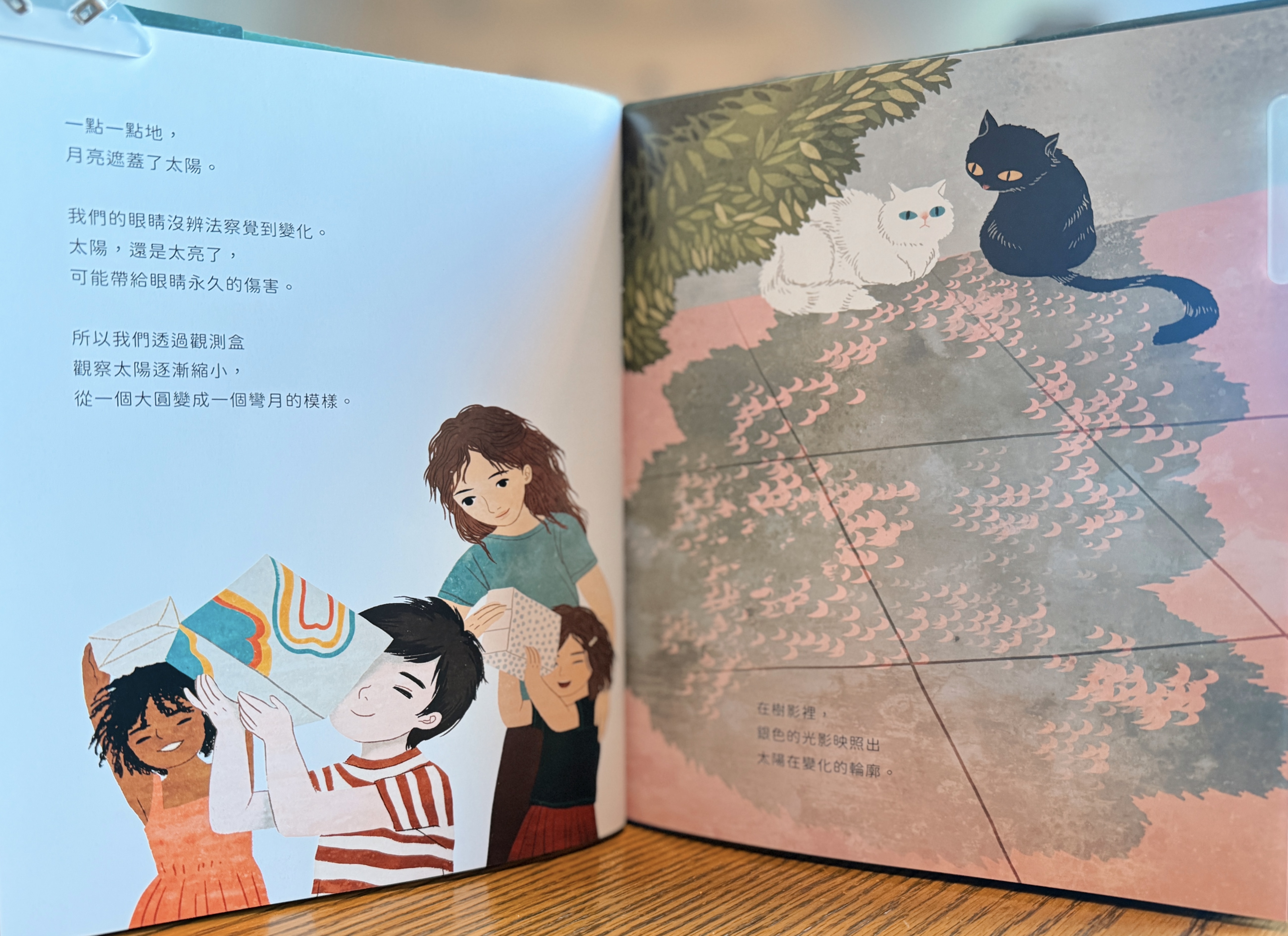 《在那美麗的幾分鐘裡： 體驗日食》|當知識被光擁抱的時刻 正文圖片第 3 張