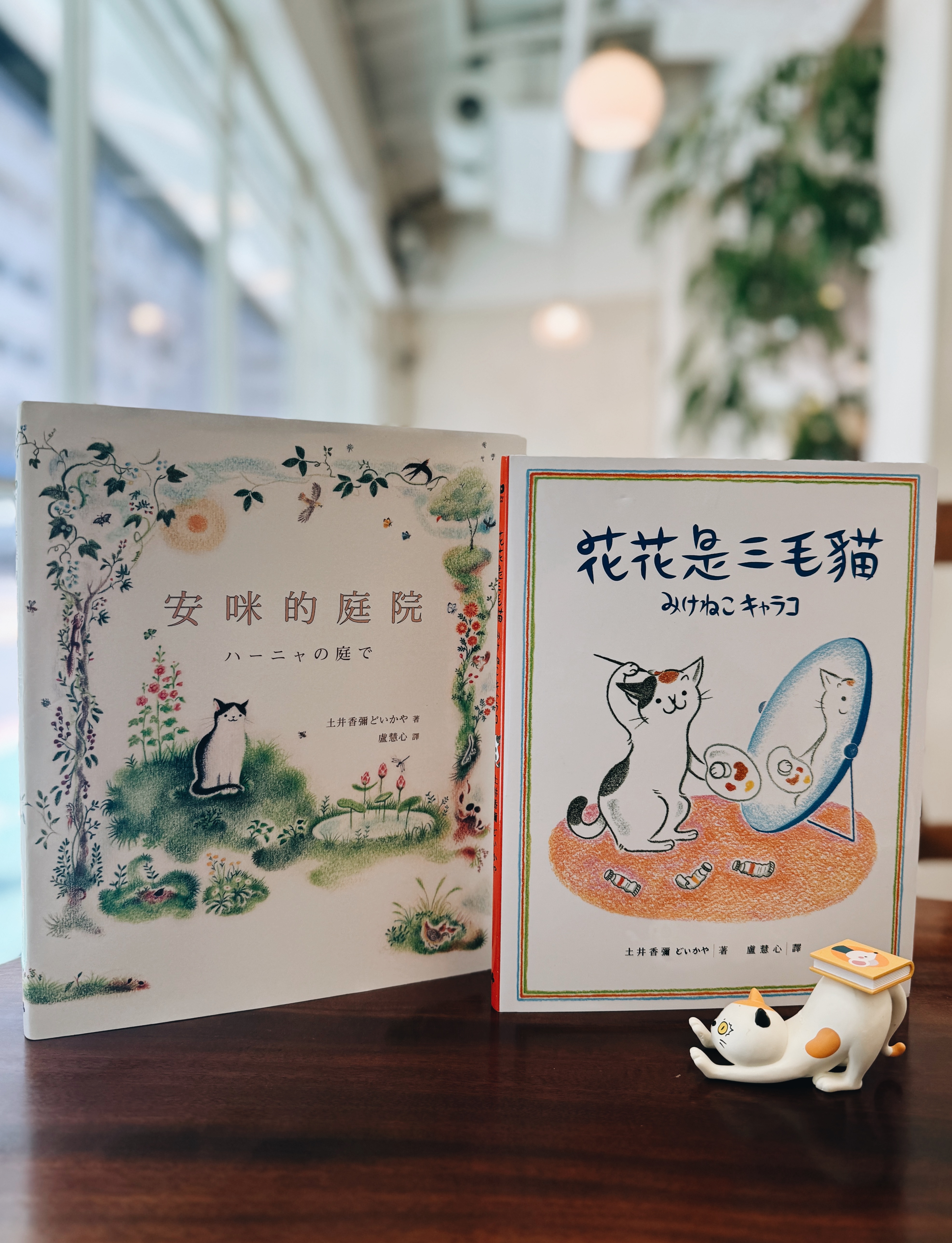 《花花是三毛貓》與《安咪的庭院》|貓咪教我們長大 書封