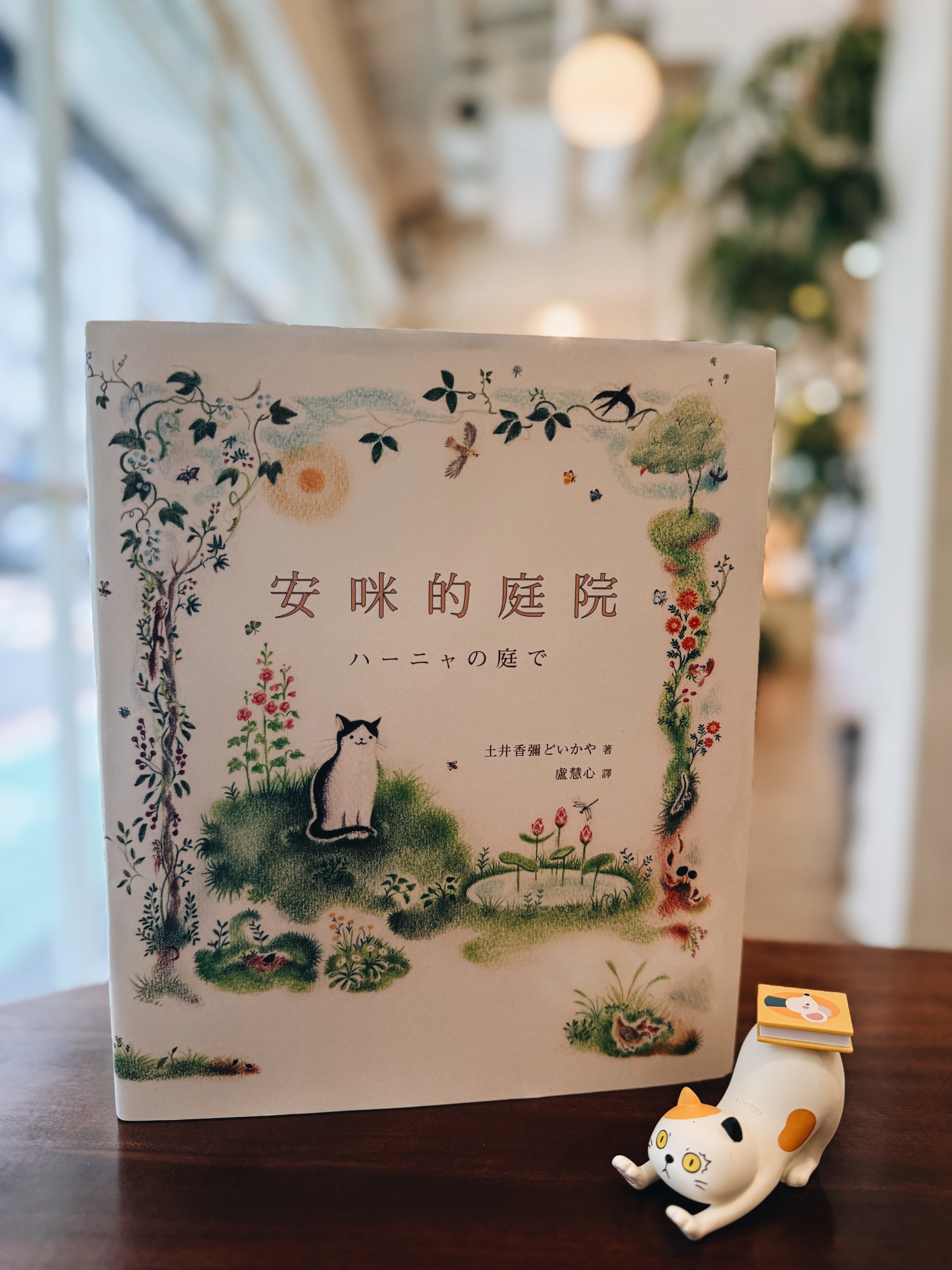 《花花是三毛貓》與《安咪的庭院》|貓咪教我們長大 正文圖片第 5 張