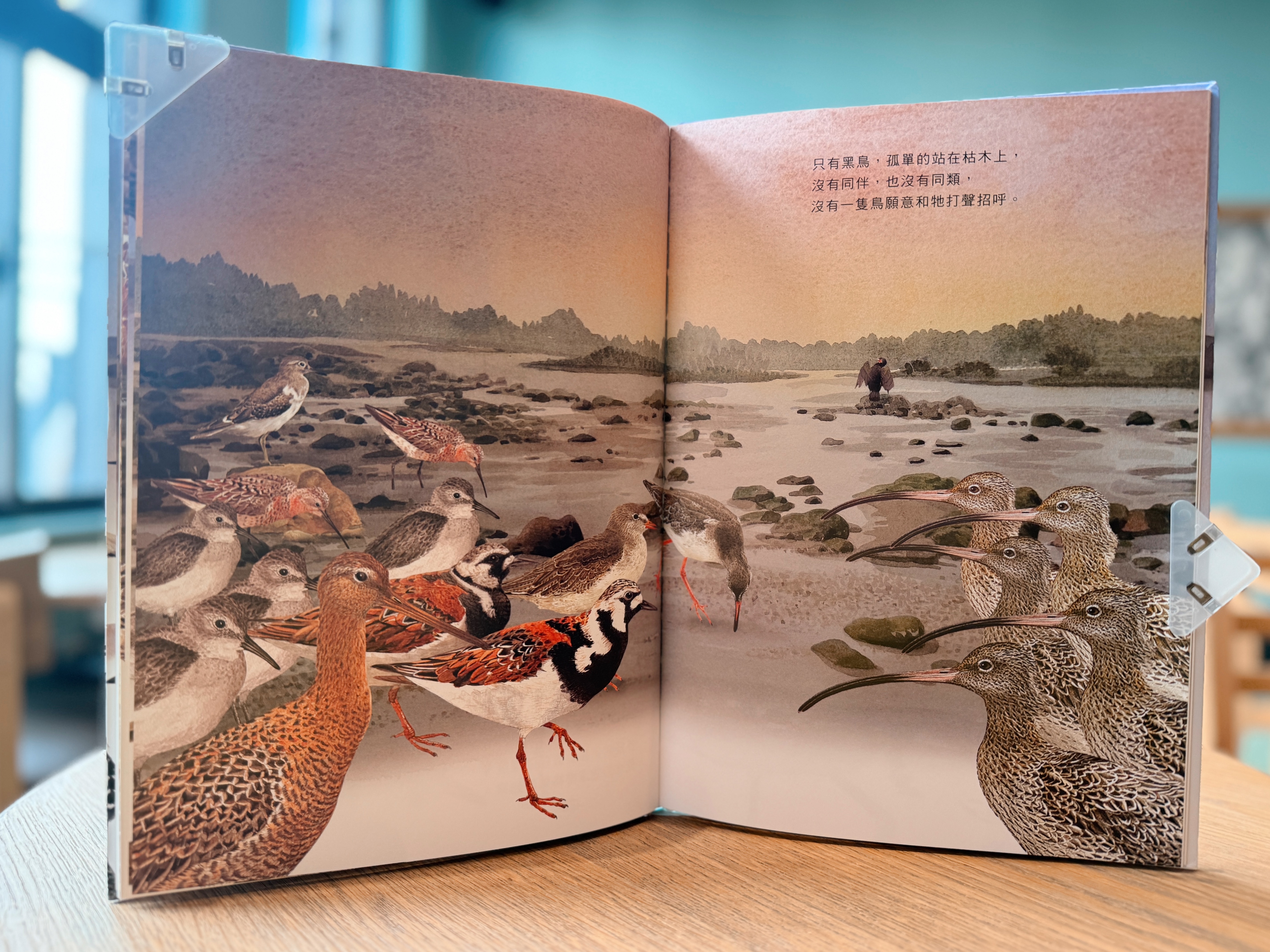《劉伯樂生態系列繪本套書》｜島嶼的呼吸，生命的溫度 正文圖片第 3 張