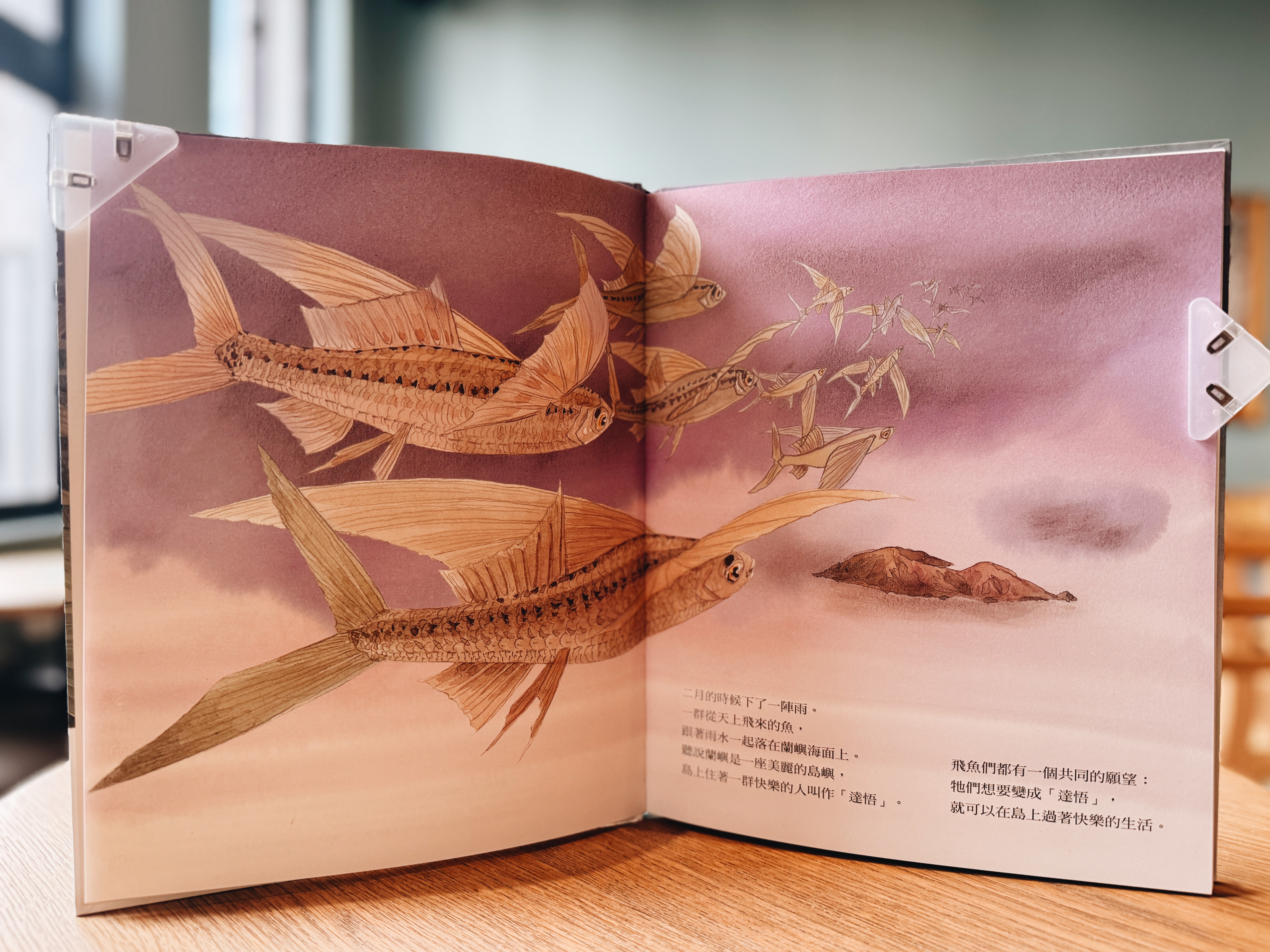 《劉伯樂生態系列繪本套書》｜島嶼的呼吸，生命的溫度 正文圖片第 6 張