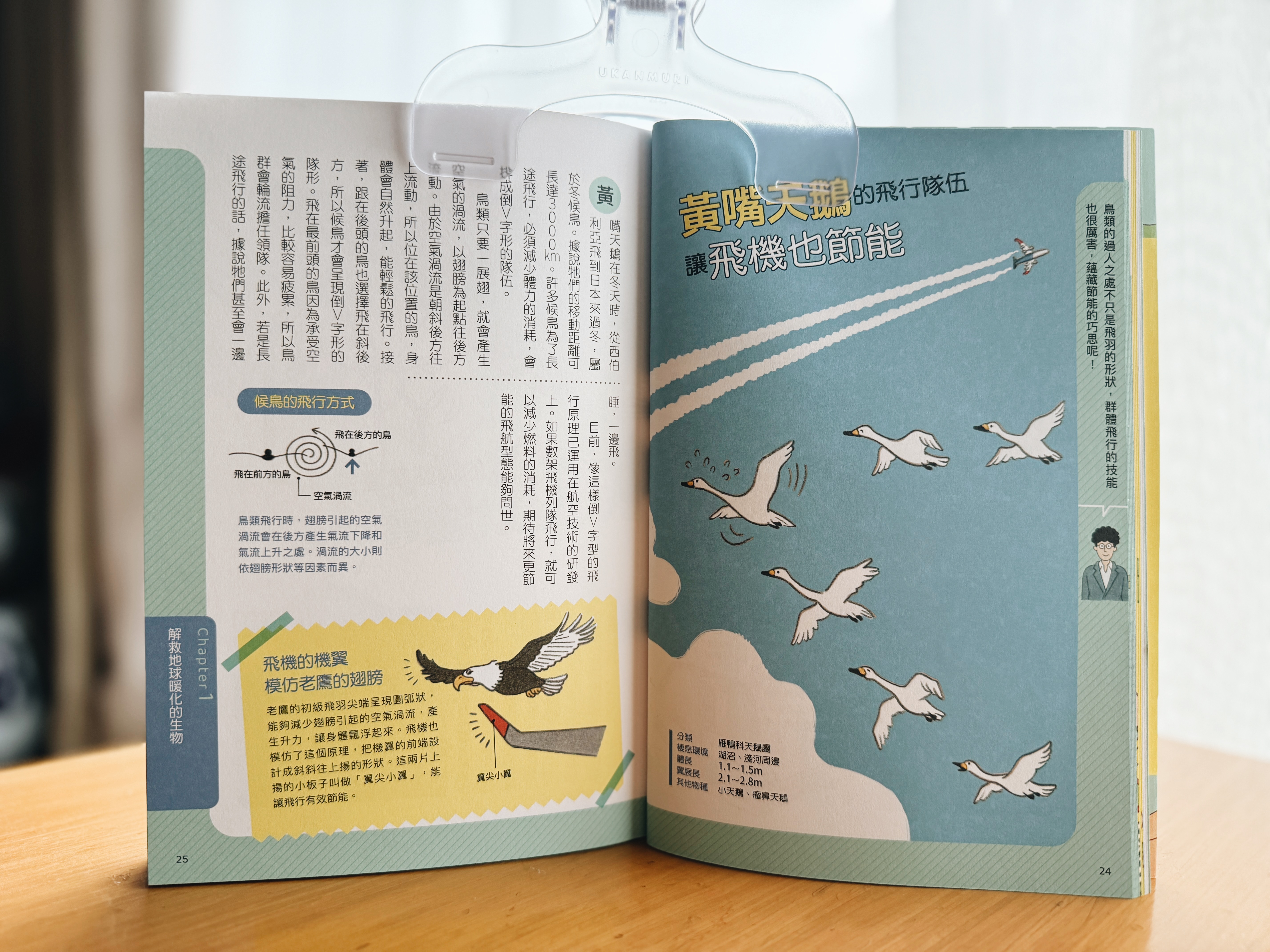 《拯救地球的超級英雄》|向生物偷來的未來點子 正文圖片第 4 張