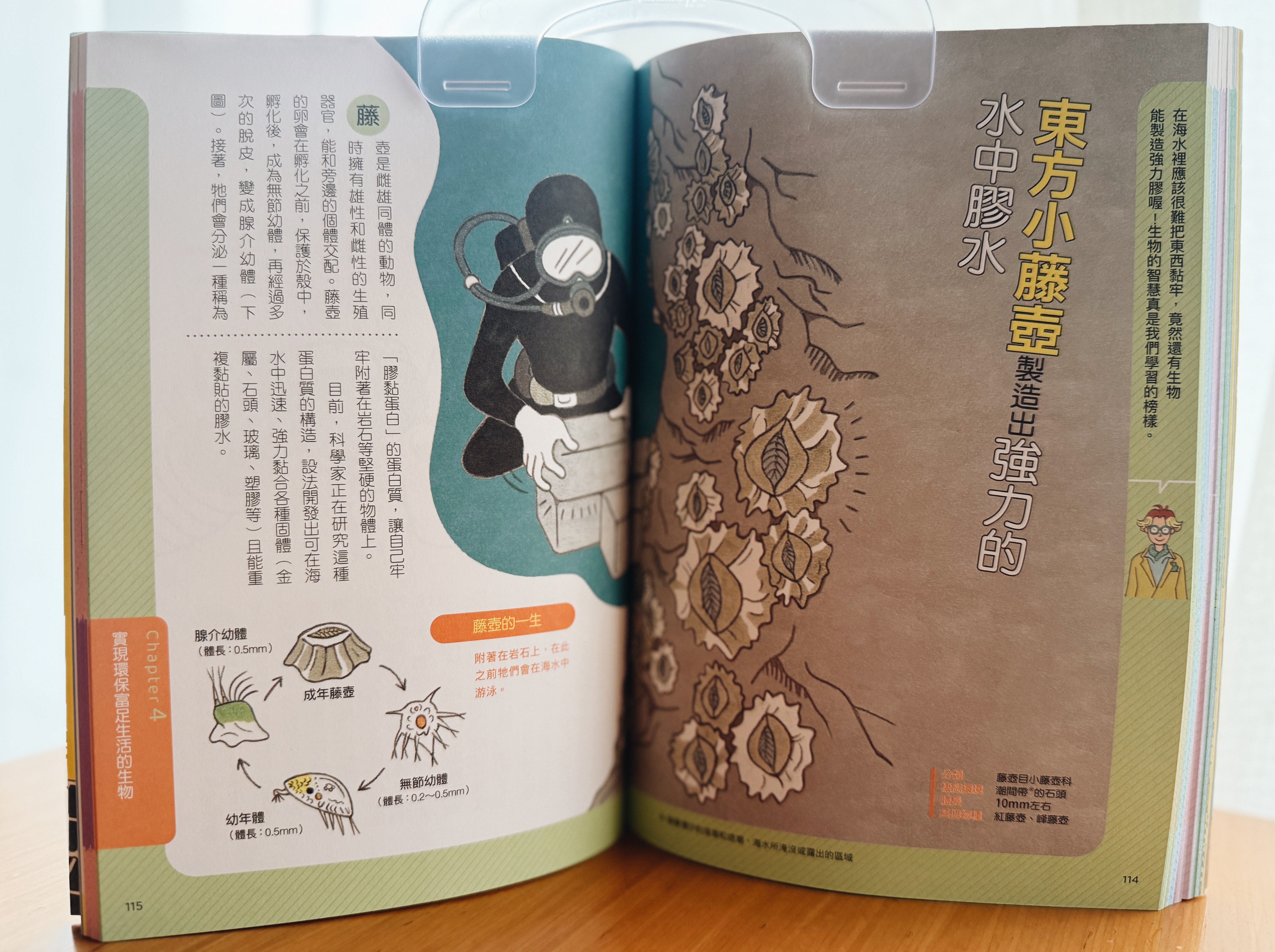 《拯救地球的超級英雄》|向生物偷來的未來點子 正文圖片第 6 張