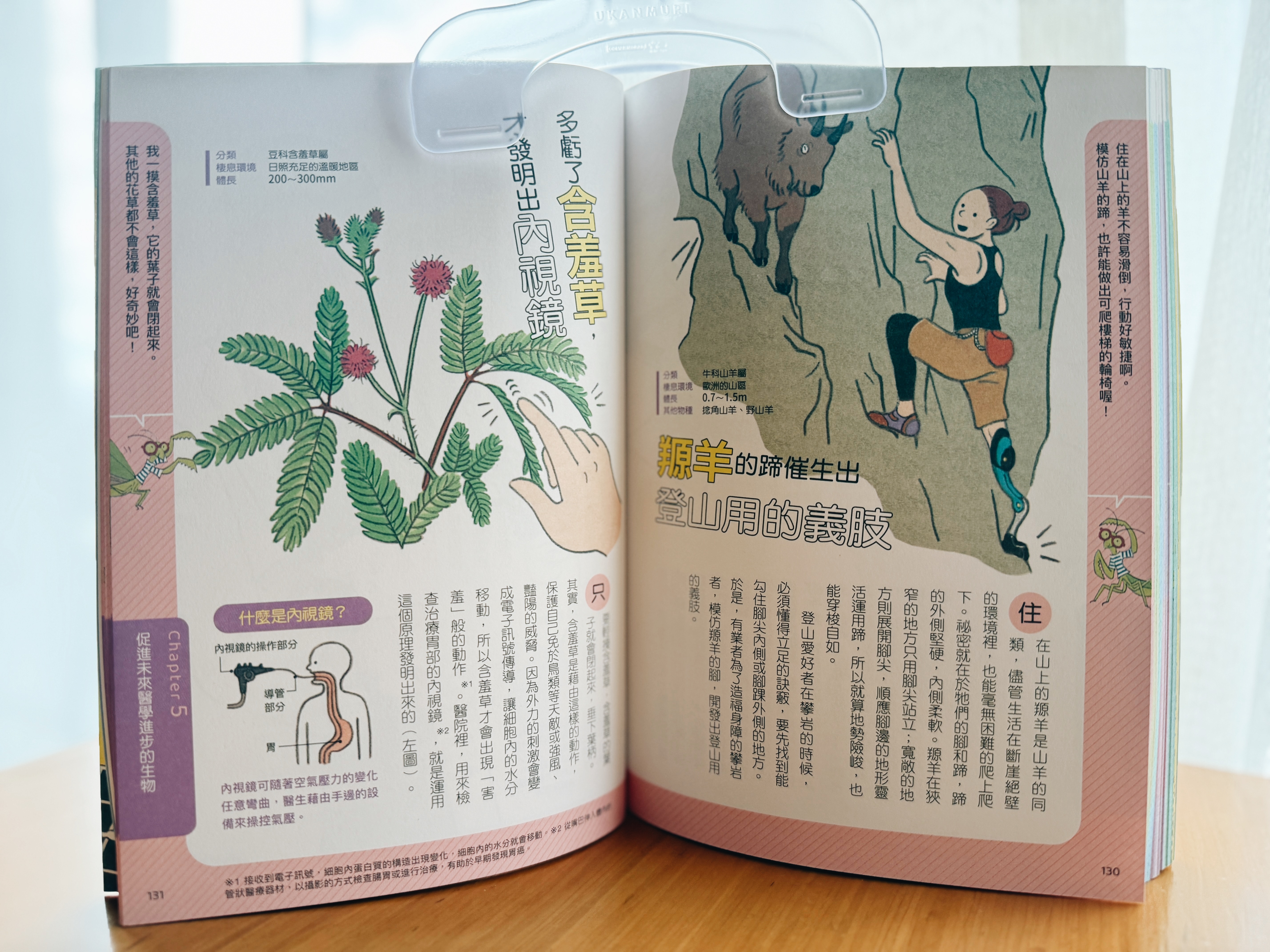 《拯救地球的超級英雄》|向生物偷來的未來點子 正文圖片第 8 張